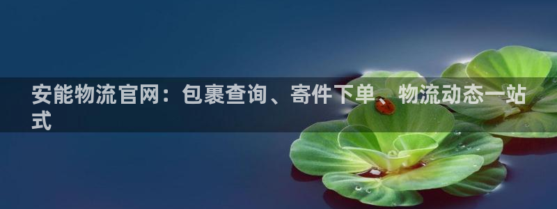 28圈反水