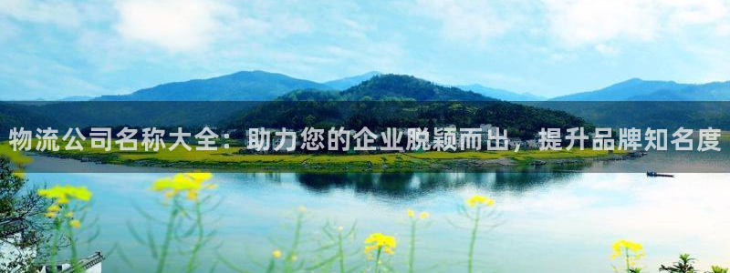 28圈辅助