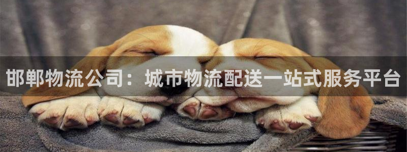 28圈网站平台