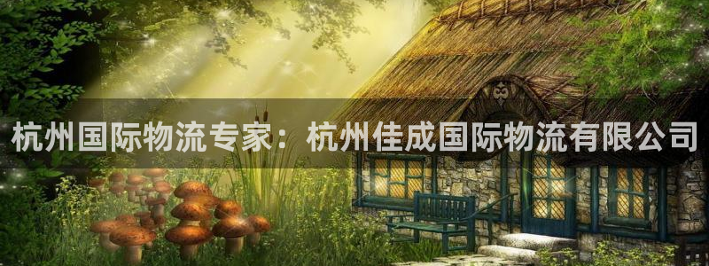 28圈旗下