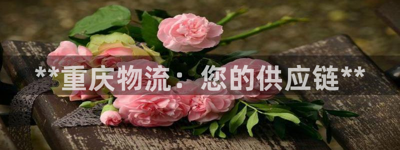 28圈游戏最新版：**重庆物流：您的
