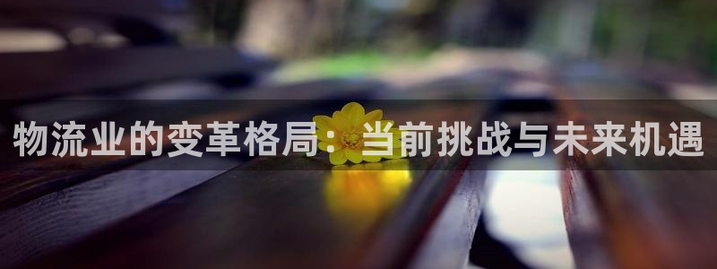 28圈赌博被抓：物流业的变革格局：当