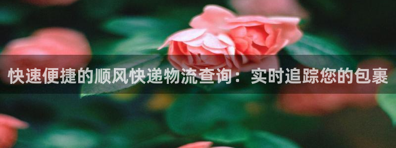 28圈注册登录链接流程：快速便捷的顺