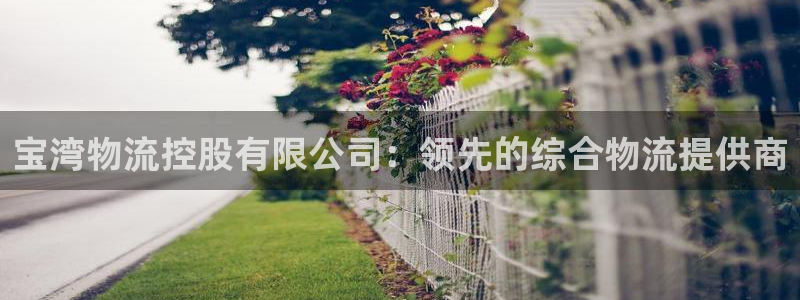 28圈官网多少：宝湾物流控股有限公司