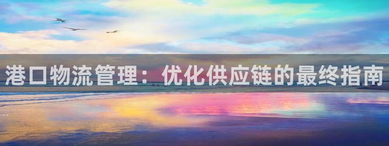 28圈注册流程：港口物流管理：优化供