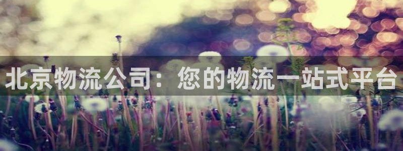 28圈p扣除是什么意思：北京物流公司