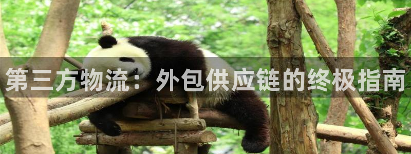 28圈PG电子游戏：第三方物流：外包