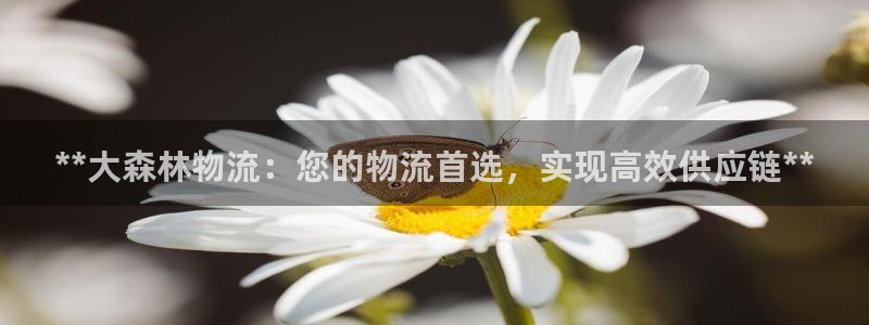 28圈游戏