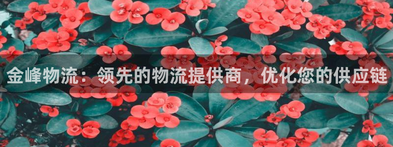 28圈注册平台：金峰物流：领先的物流