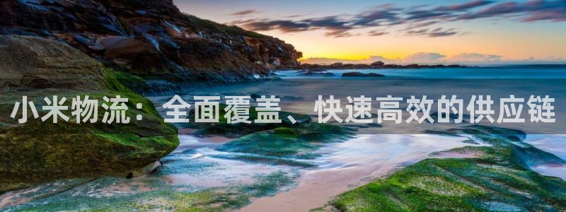 28圈推广链接是多少：小米物流：全面