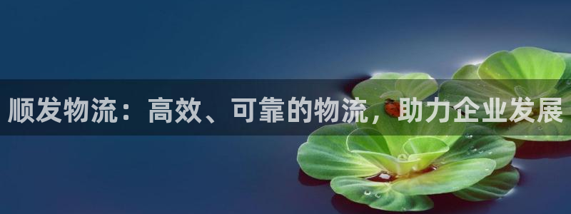 28圈注册链接教程：顺发物流：高效、