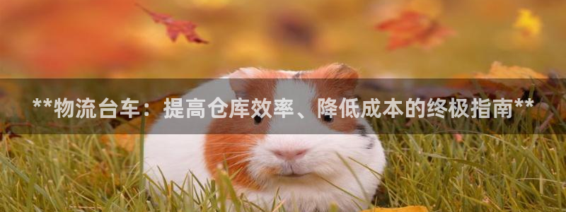 28圈注册网址：**物流台车：提高仓