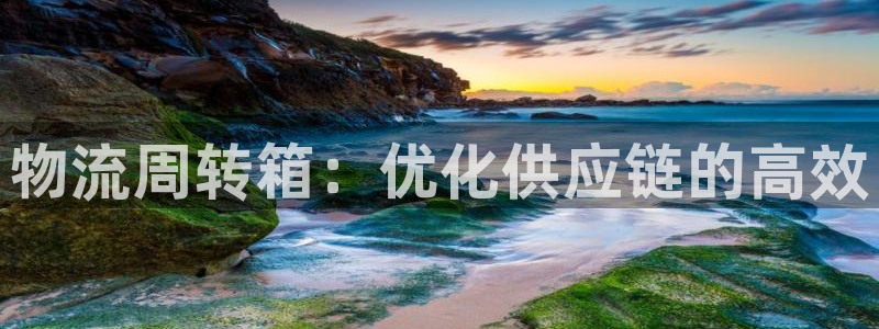 28圈怎么注册：物流周转箱：优化供应