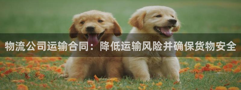 28圈官方官网版：物流公司运输合同：