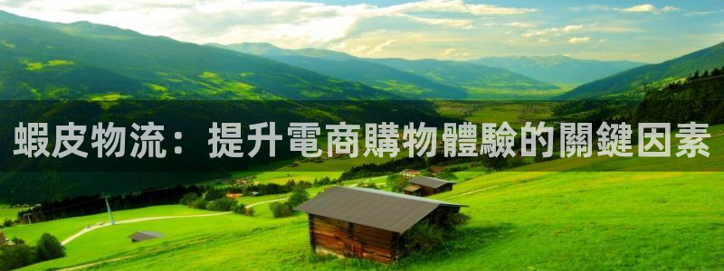 28圈注册平台：蝦皮物流：提升電商購