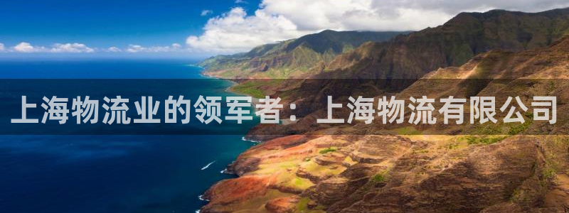 28圈加拿大最新版：上海物流业的领军