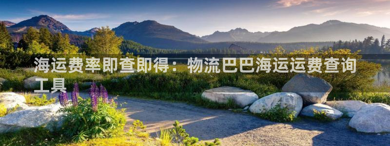 28圈激活码