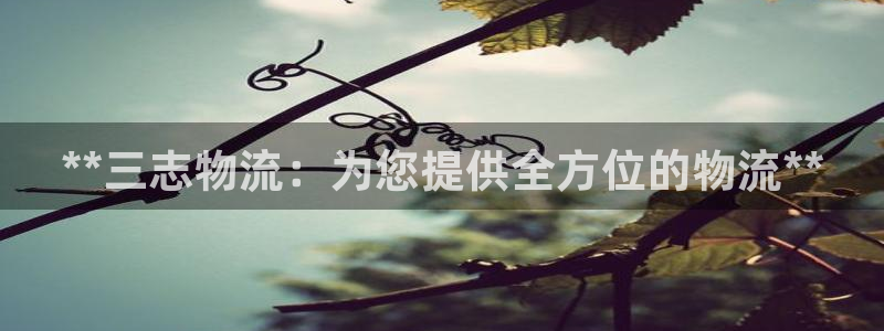 28圈玩法