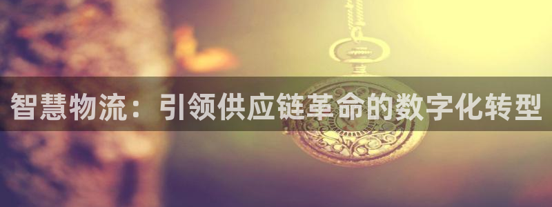 28圈注册网站：智慧物流：引领供应链