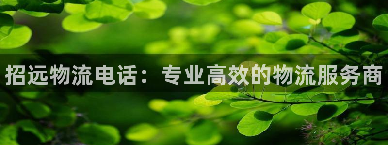 28圈软件总是闪退怎么回事