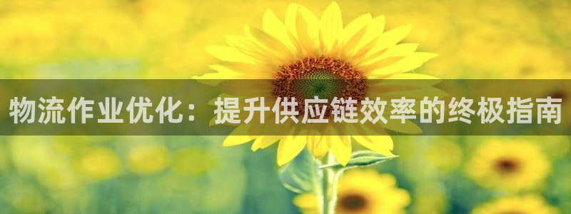 28圈正规吗