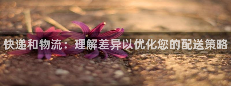 28圈能退款吗