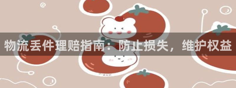 28圈登录不上咋回事：物流丢件理赔指