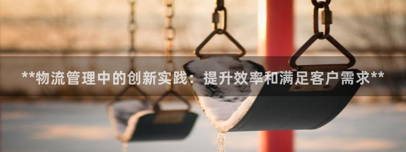 28圈加拿大怎么玩：**物流管理中的