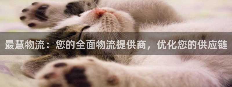 28圈注册链接教程：最慧物流：您的全