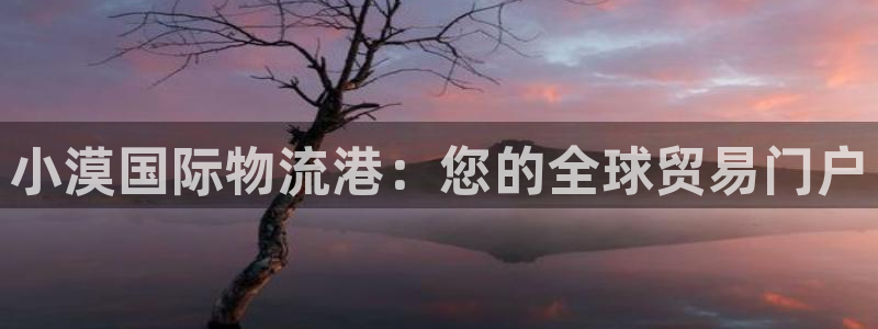 28圈链官网：小漠国际物流港：您的全