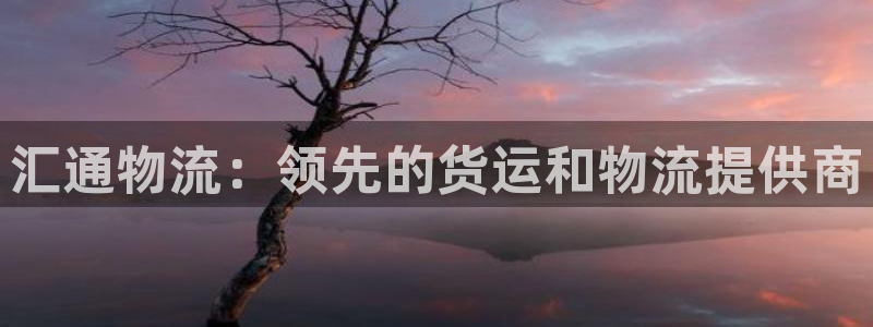 28圈分分28预测