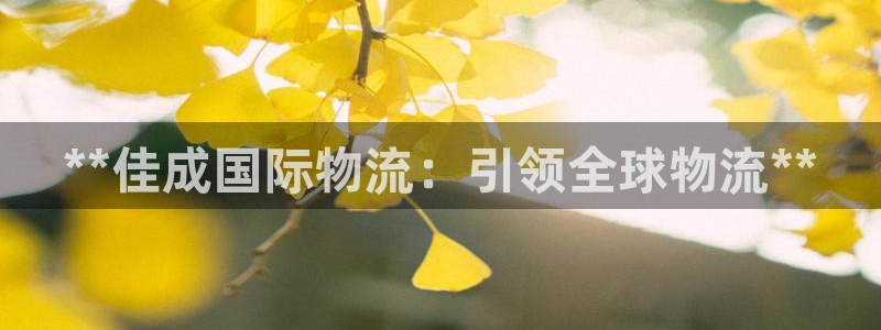 28圈下分了不给钱：**佳成国际物流