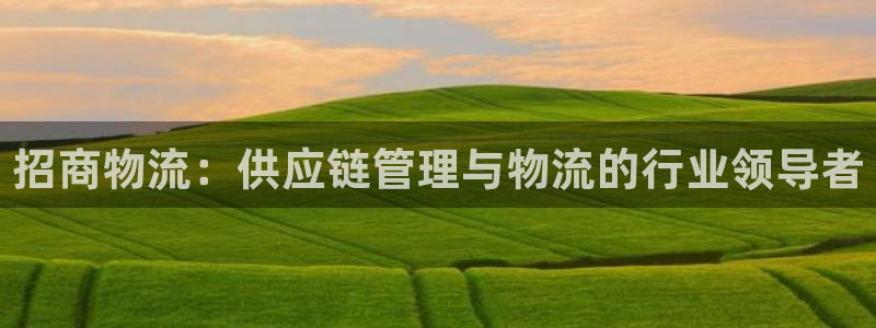 28圈官网注册：招商物流：供应链管理