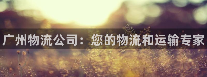 28圈充值金额随便