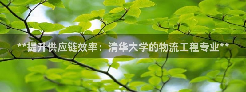 28圈官方平台