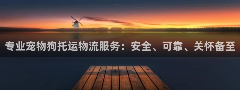 28圈ip被限制怎么解决：专业宠物狗