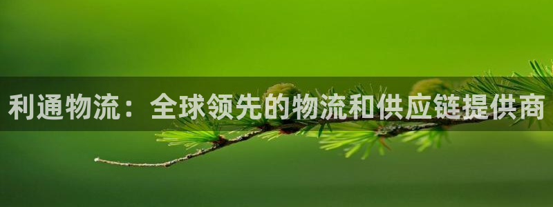 28圈注册入口与教程：利通物流：全球