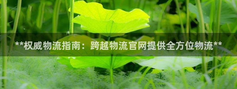 28圈推广链接是多少粉丝
