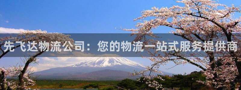 28圈代理落网：先飞达物流公司：您的