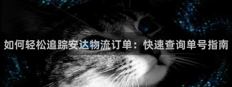 28圈下分了不给钱：如何轻松追踪安达