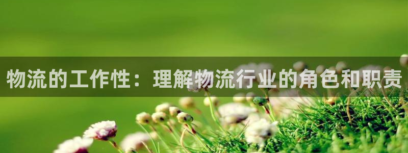 28圈游戏官网入口：物流的工作性：理