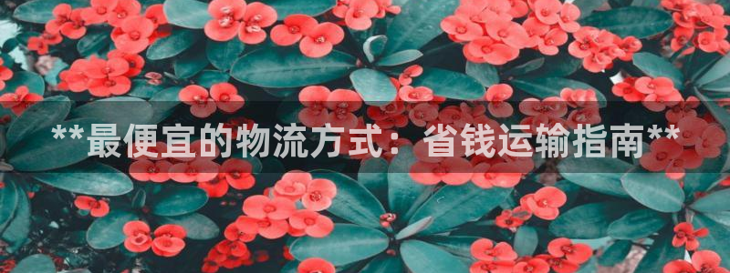 28圈注册网址：**最便宜的物流方式
