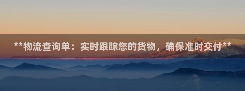 28圈辅助：**物流查询单：实时跟踪