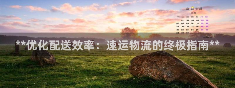 28圈娱乐官网网页下载：**优化配送
