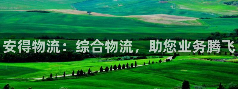 28圈官网平台下载：安得物流：综合物