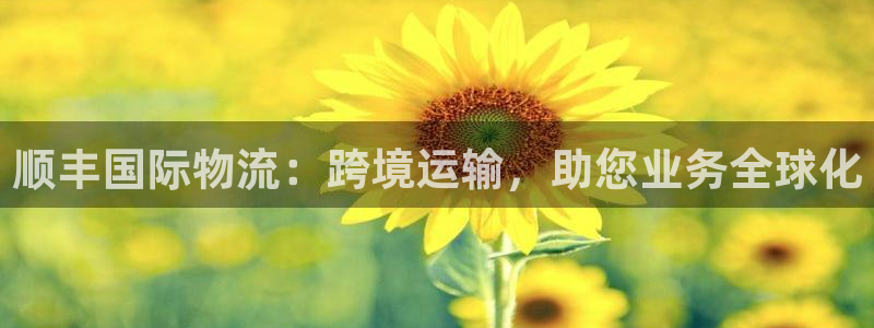 28圈电子游戏：顺丰国际物流：跨境运