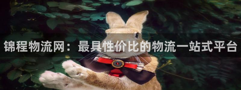 28圈官网链接：锦程物流网：最具性价