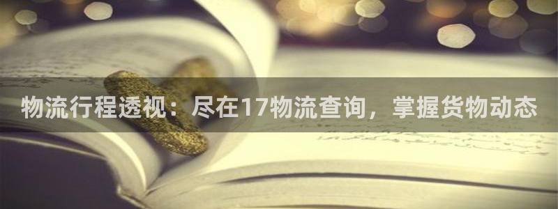 28圈在线预测官网