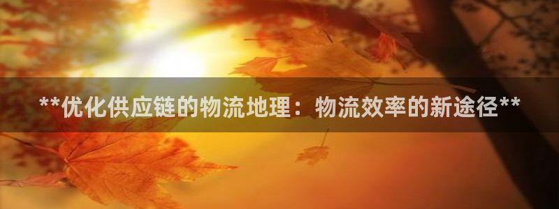28圈哪个最赚钱：**优化供应链的物