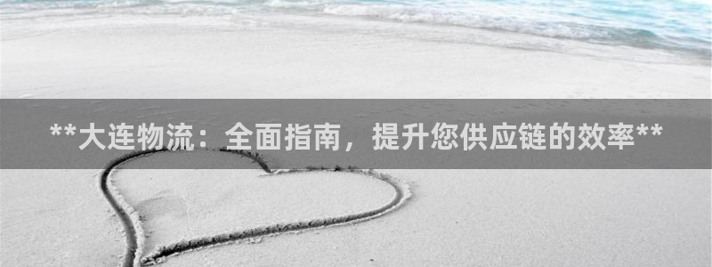 28圈圈：**大连物流：全面指南，提